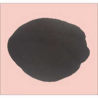 Copper Chromite - 25 Kg Bio-tech Grade Liquid | 99% Purity, Amorphous Black/brown Powder, Industrial Catalysis Application, Insoluble, High Temperature Stability