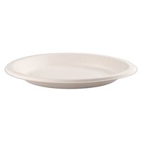 10 Inch Disposable Round Plate