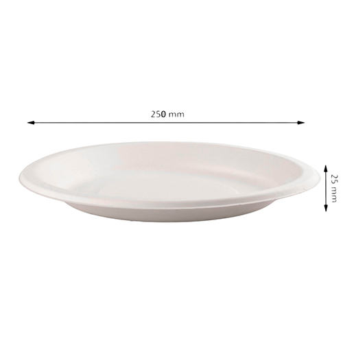 10 Inch Disposable Round Plate