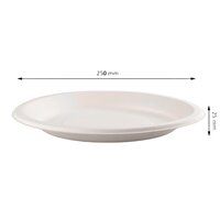 10 Inch Disposable Round Plate