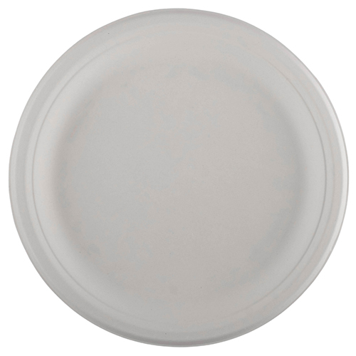 10 Inch Disposable Round Plate