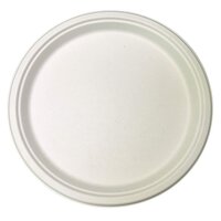 11 Inch Disposable Round Plate