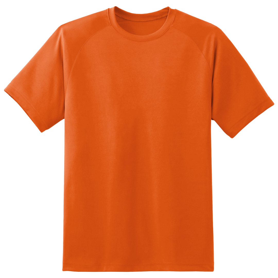 Plain Polyester T Shirt