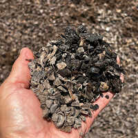 Palm Kernel Shell Powder