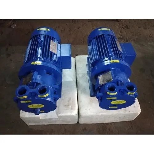 Cast Iron Single Stage Monoblock Watering Vacuum Pump