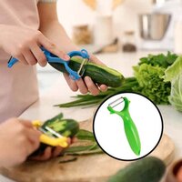 KITCHEN STAINLESS STEEL VEGETABLE AND FRUIT PEELER (2010)