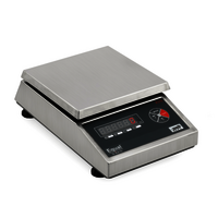 Silver Weighing Scale