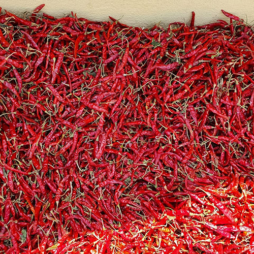 Dry Red Chilli - First Class, Whole Pieces | Raw Processing, Room Temperature Storage, Versatile Spice for Curries, Stews, and Soups