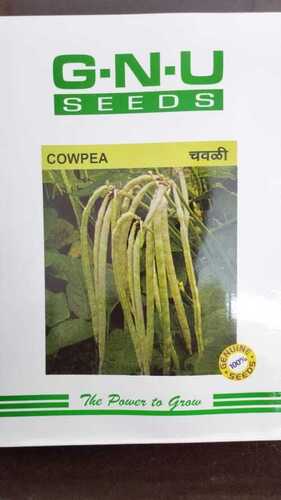 Common Cowpea Seeds