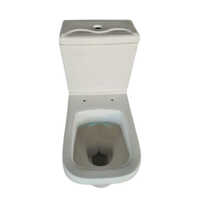 P Type Western Toilet - Color: Cream