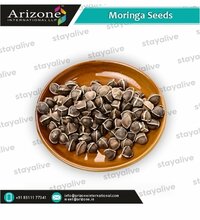 Moringa Seeds