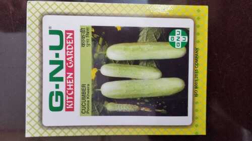 Cucumber Poona Kheera