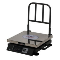 UEB-02 Electronic weighing Machine