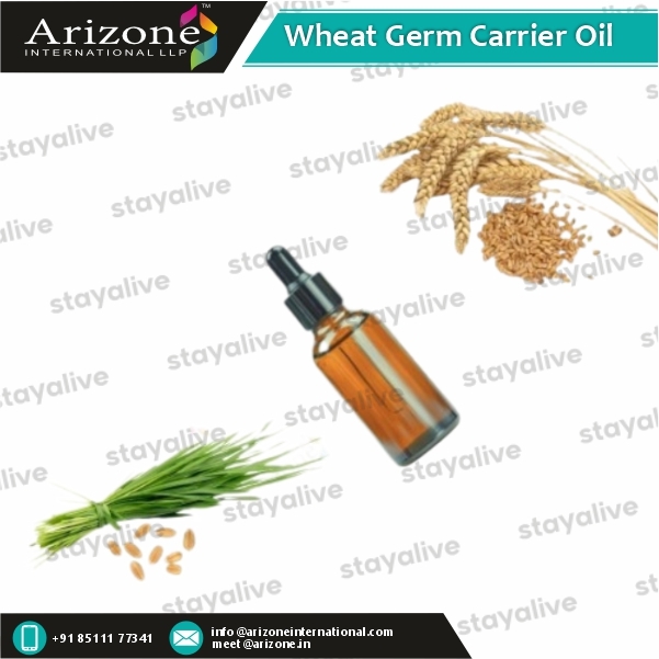 Wheat Germ Carrier Oil