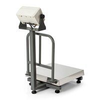 EDXP-03 Plateform weighing Machine