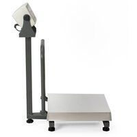 EDXP-03 Plateform weighing Machine