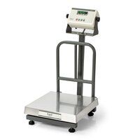 EDXP-03 Plateform weighing Machine