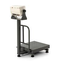 EDXP-04 Plateform weighing Machine