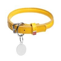 Leather Dog Collar - High Quality, Small To Xx-large Sizes | Available In Red, Blue, Black, Neon Green, Orange