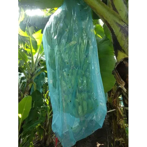 Transplant And All Color As Per Requirements Plastic Banana Bag