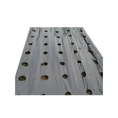 Plastic Mulching Film Hardness: Rigid