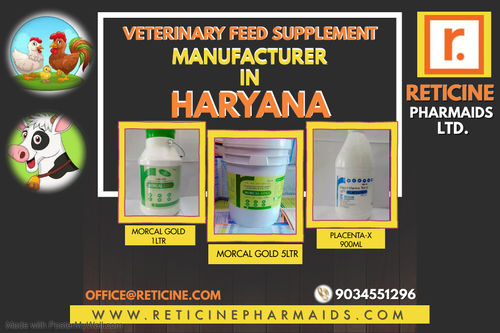 VETERINARY FEED SUPPLEMENT MANUFACTURER IN HARYANA