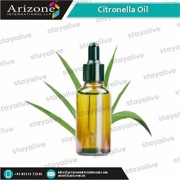 Citronella Oil