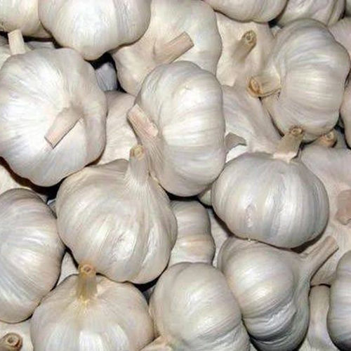 Fresh Organic Garlic