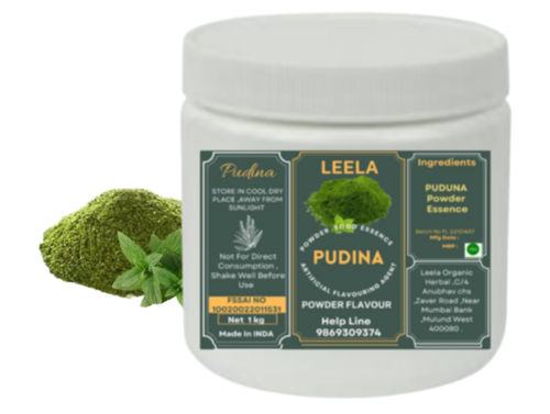 Pudina Powder Food Essence