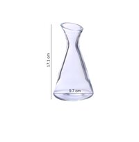 Oberglas Pisa CarafePitcherMilkJuiceWaterWhiskeyRumWine Decanter Glass Set 250ml Set of 2 Clear