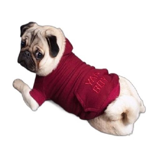 Dog Winter Hoodie