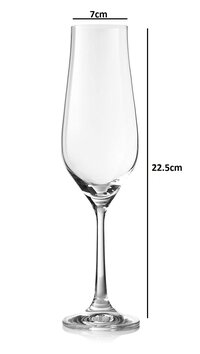Bohemia Crystal Tulipa Champagne Flutes Glass Set 170ml Set of 6
