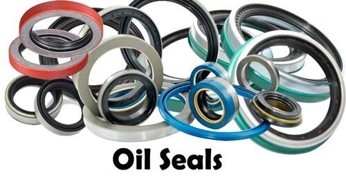 OIL SEALS