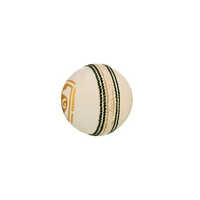 Test White Leather Ball Application: Playing Cricket