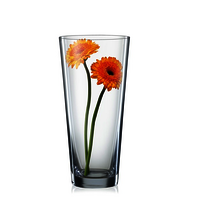 Bohemia Crystal Vase Vase Set  290mm Set of 1pcs Transparent  Non Lead Crystal Glass