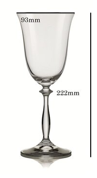 Bohemia Crystal Angela Wine Glass Set 350ml Set of 6pcs  Transparent  Non Lead Crystal Glass