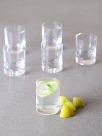 Bohemia Crystal Barline Shot Glass Set 60 ML  Set of 6