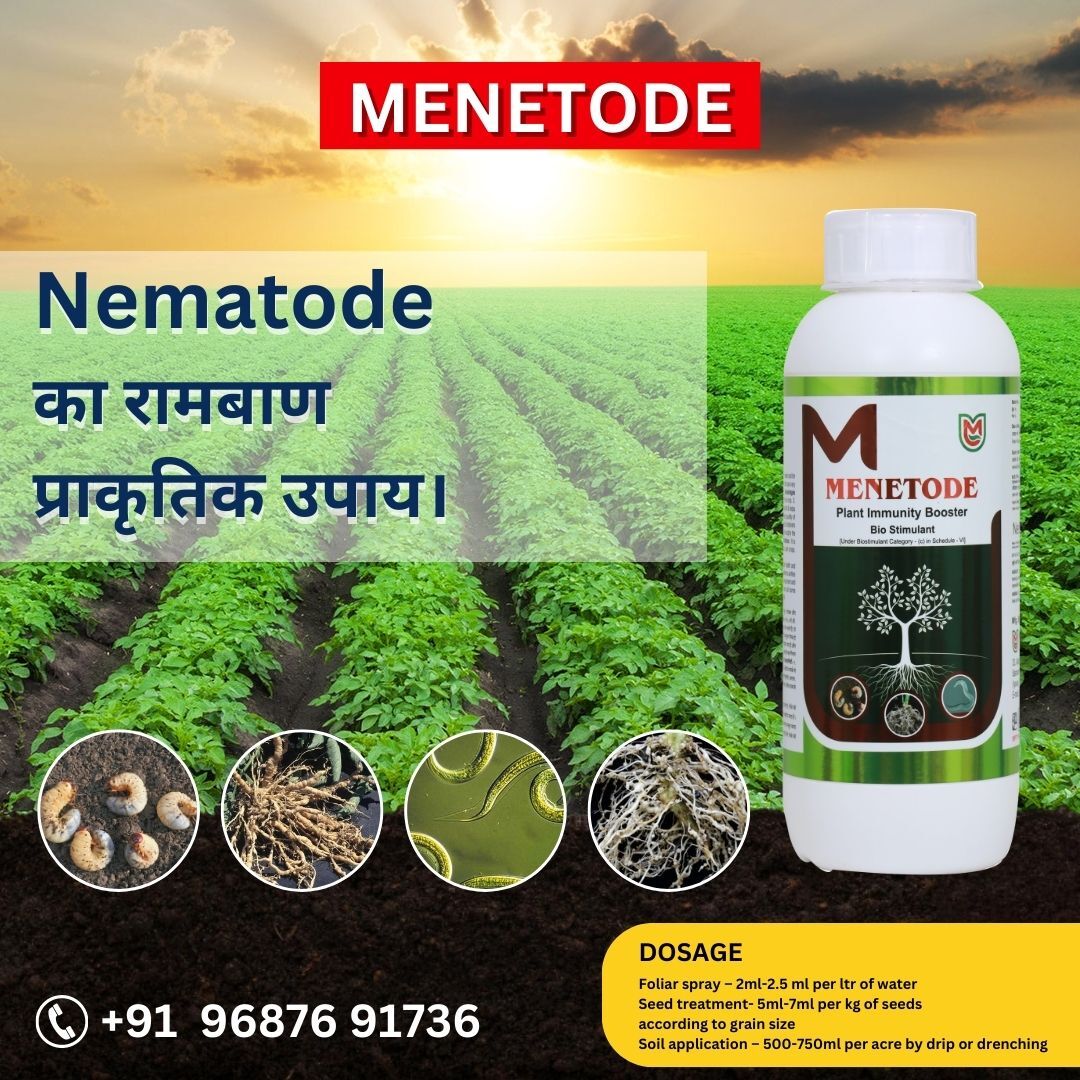 Menetode NEMATICIDE Plant Immunity Booster