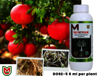 Menetode NEMATICIDE Plant Immunity Booster