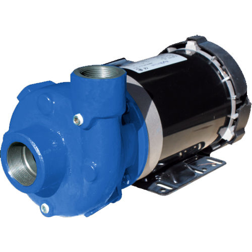 Blue Rcp Series End Suction Close Coupled Pumps