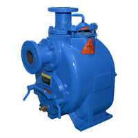 Spt-sxt Industrial Trash Pumps - Flow Rate Up To 5500 Gpm, Head Size Up To 120 Ft, 2" To 12" Sizes, Blue Finish