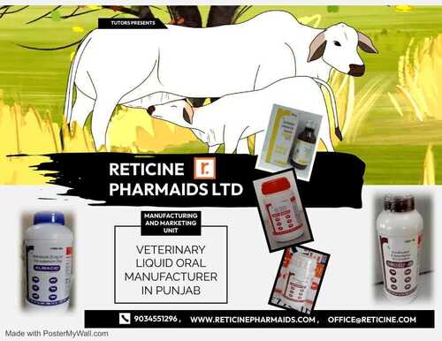 VETERINARY LIQUID ORALS MANUFACTURER IN PUNJAB