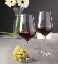 Bohemia Crystal Sandra Wine Glass Set 350ml Set of 6 Transparent