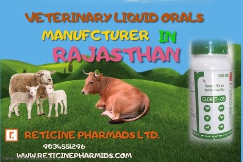 VETERINARY LIQUID ORAL MANUFACTURER IN RAJASTHAN