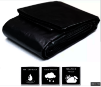 18X24 250 GSM BLACK TARPAULIN