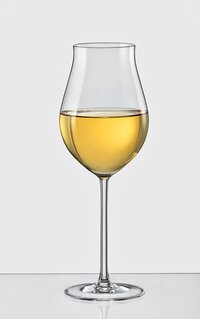 bohemia crystal Attimo White Wine Glass Set 250ml Set of 6 Transparent
