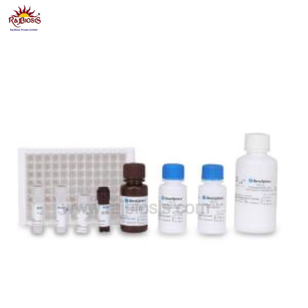 BeneSphera HbsAg ELISA Kit