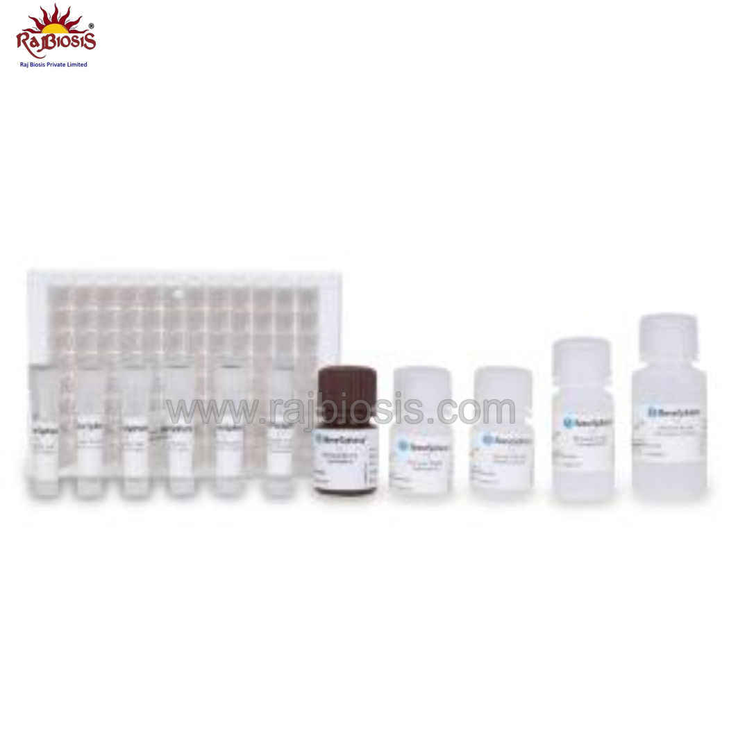 BeneSphera T3 ELISA Kit