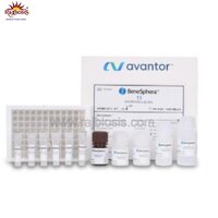 BeneSphera T3 ELISA Kit