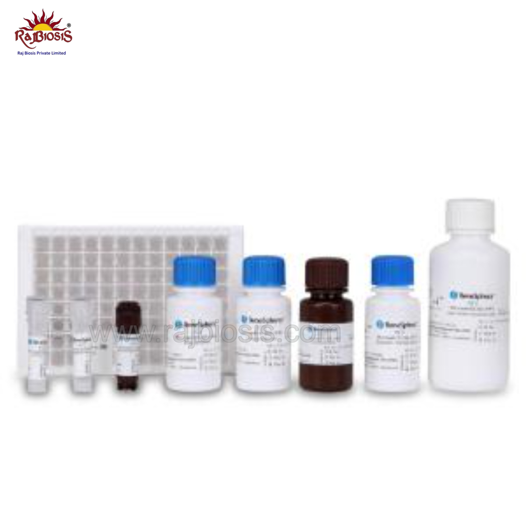 BeneSphera HIV Advanced ELISA Kit